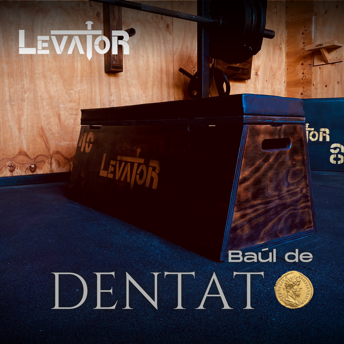 Banco Plano Baúl (Solo Reserva)