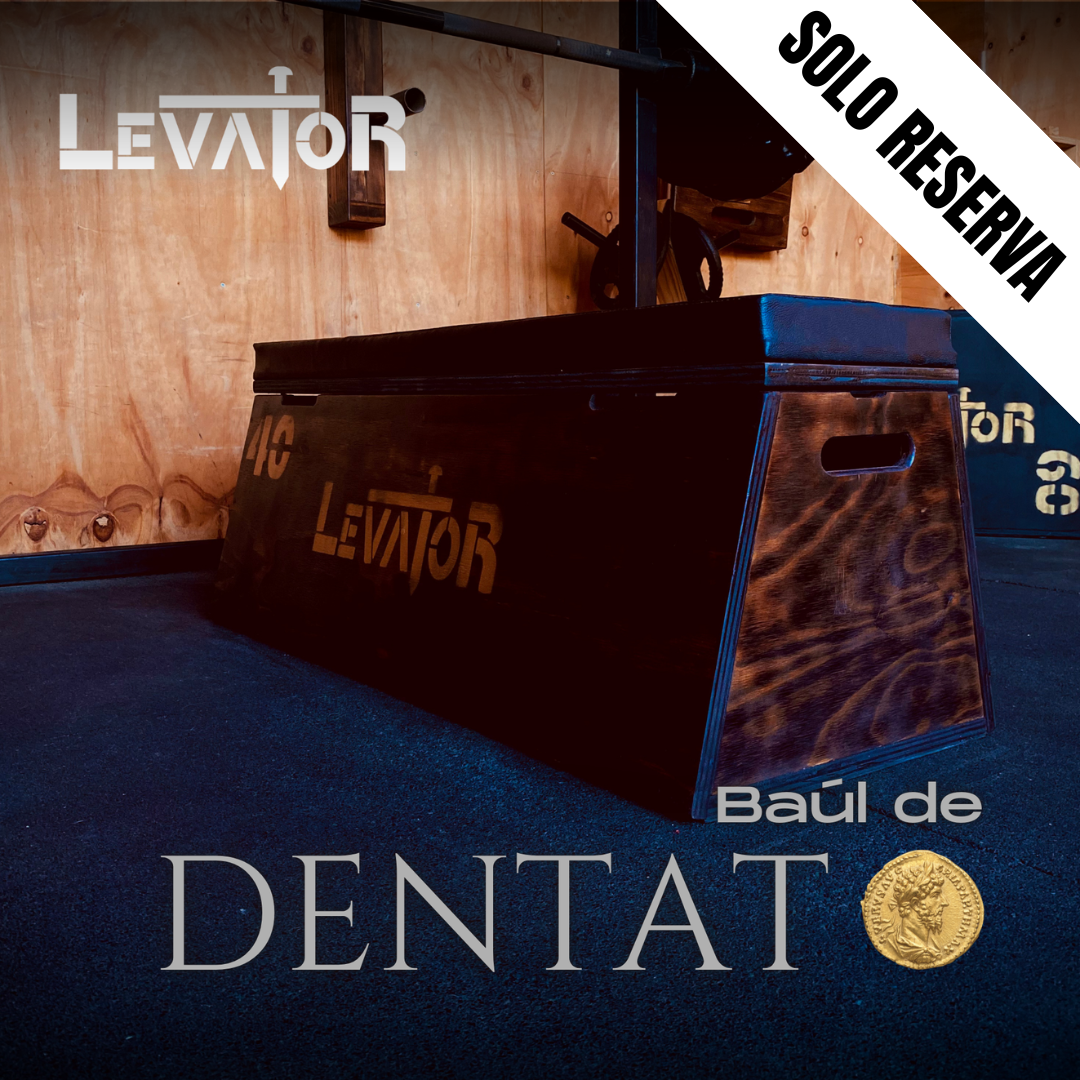 Banco Plano Baúl (Solo Reserva)