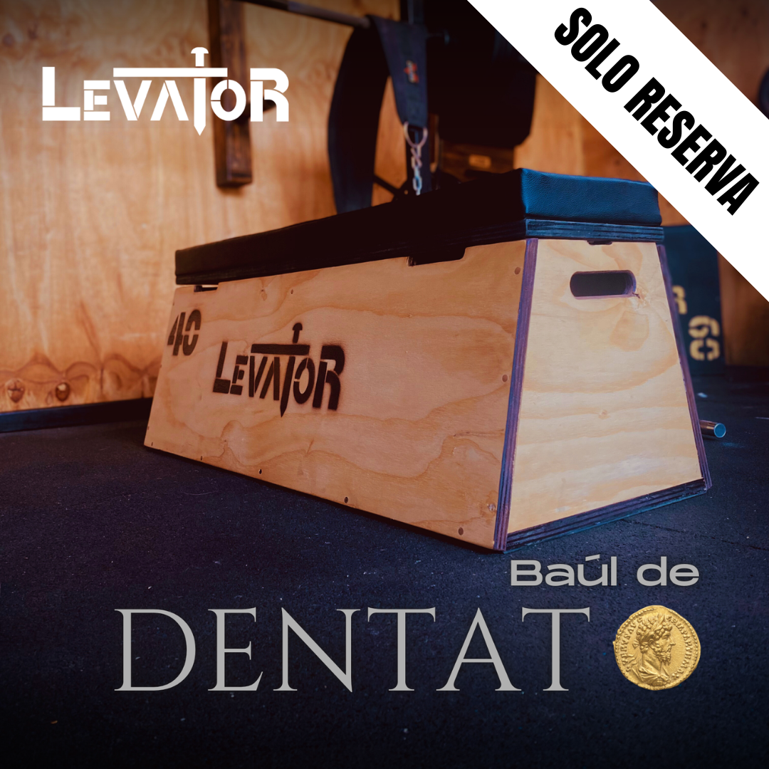 Banco Plano Baúl (Solo Reserva)