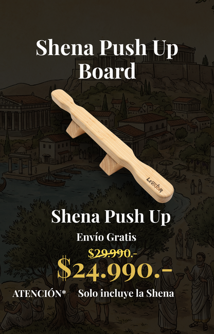 Packs Shena Push Up Board