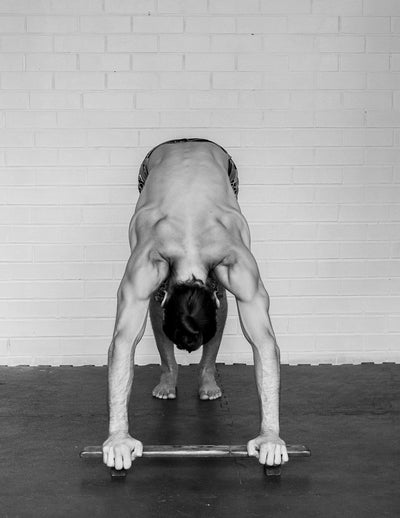 Shena Push Up Board