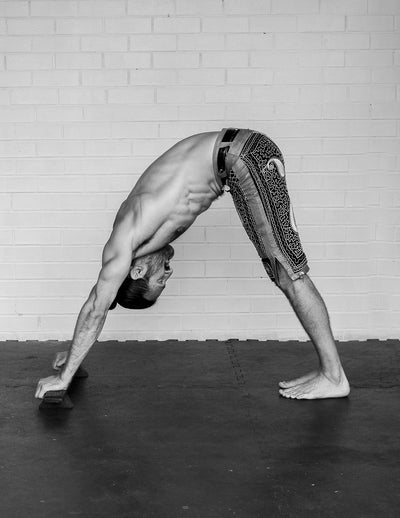 Shena Push Up Board