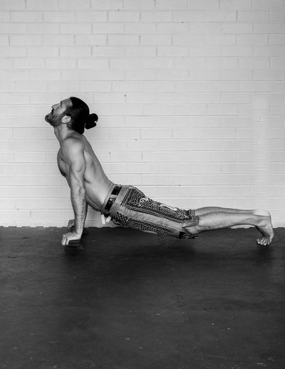 Shena Push Up Board