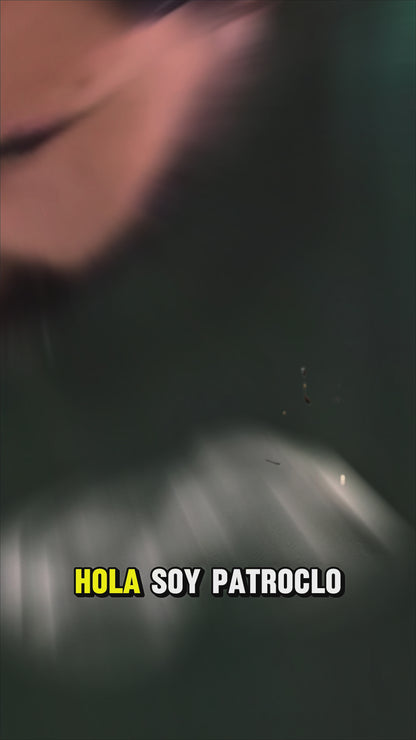 Packs Shena Push Up Board